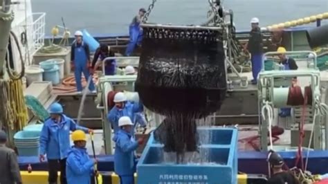 日本批准了，韩国紧急开会！百万吨入海，影响全球鱼类迁徙、人类健康_凤凰网