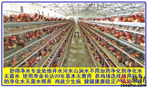 【机械化养鸡设备】_机械化养鸡设备品牌/图片/价格_机械化养鸡设备批发_阿里巴巴