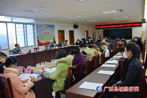 武鸣区：抓实产业项目 增强发展动能 - 广西县域经济网