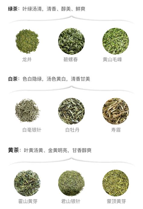 中国六大茶类产区及其代表茶