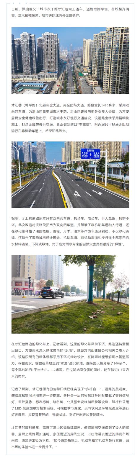 高颜值、会呼吸，这条道路还原清爽天际线 - 武汉市洪山区人民政府门户网站