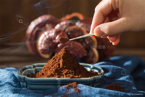 中国古典中医草药灵芝和灵芝孢子粉_站酷海洛_正版图片_视频_字体_音乐素材交易平台_站酷旗下品牌