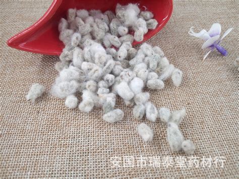 棉花的种植方法，有哪些种植管理要点 - 农敢网
