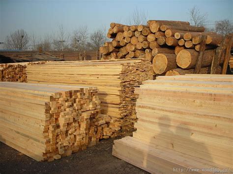 开投成立供应链公司 打造全国最大木材交易集散地 - 青岛新闻网