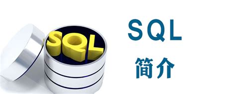 sql指的是什么-SQL - 小兔网