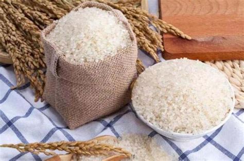 中国最好吃的十种大米：胭脂米上榜，五常大米荣登榜首_巴拉排行榜