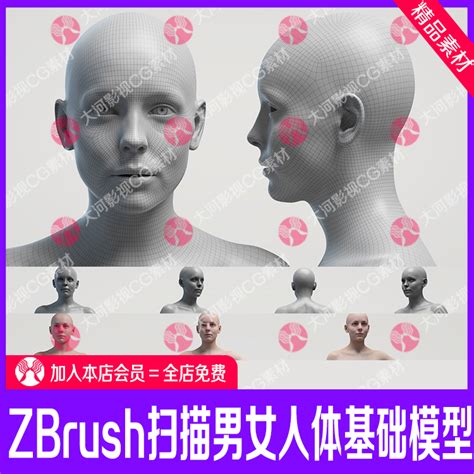 zbrush扫描男女人体基础模型zb男女人体标准布线模型maya人体模型-淘宝网