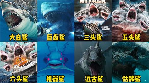 日本食人鲨图册_360百科