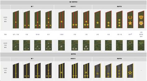 陆军军衔等级肩章排列图片（部队肩章等级排名图片） - 科猫网
