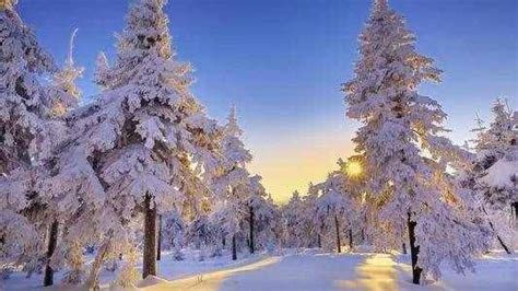 诗词——“冬”，有哪些描写“冬季”的诗句，诗词合集 - 知乎