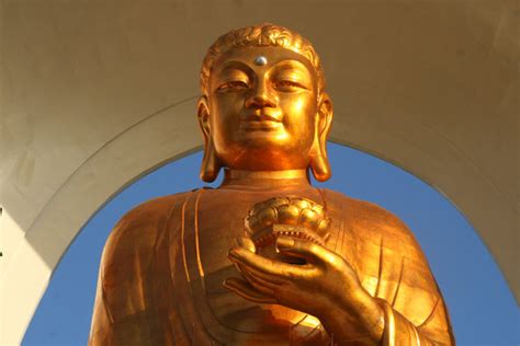 释迦牟尼佛成道祝圣法会圆满，祈愿佛光护佑，世界和平，众生安乐 - 上海玉佛禅寺