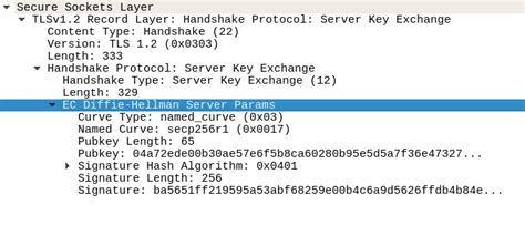 TLS包抓取后如何解密，手把手带你！_抓包附带tls的key-CSDN博客