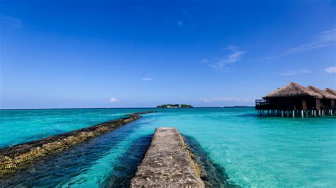 马尔代夫阿米拉度假岛美景攻略-七彩假期