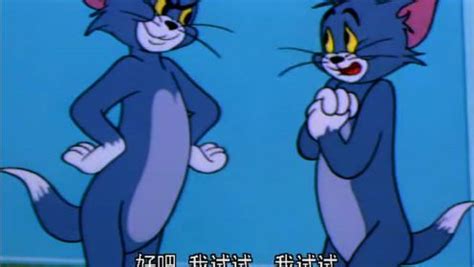 猫和老鼠 陕西方言版-动漫-高清在线观看-百搜视频
