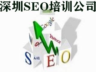 SEO科技网-提供专业领先的SEO优化，网站建设，网站设计，网络推广