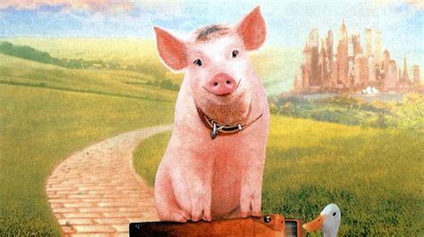 猪到底有多聪明,为什么说猪最聪明,猪和人比谁更聪明_大山谷图库