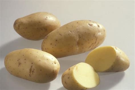 马铃薯和土豆的区别是什么 土豆是马铃薯吗_食用