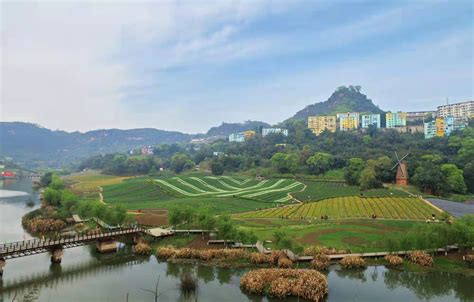 一线看水保|泸州清溪河的蝶变：昔日臭水沟成“中国最美小流域”示范样板