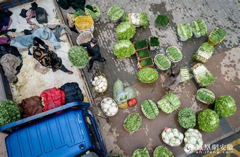 铜陵：多彩画卷 蔬菜批发市场显繁忙凤凰网安徽_凤凰网