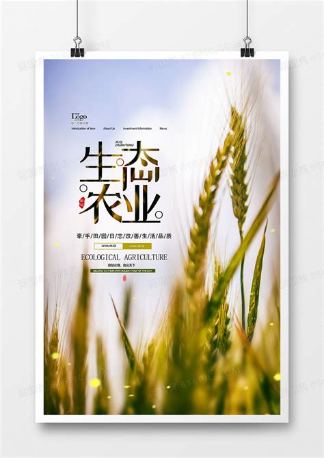 《中国农业展望报告（2023-2032）》发布