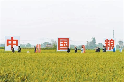 2020年中国农机行业发展现状和市场前景分析 - 北京华恒智信人力资源顾问有限公司