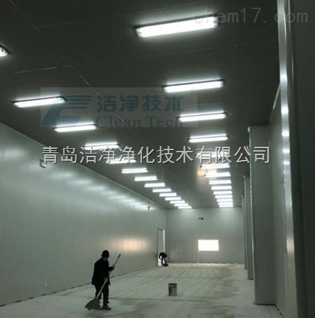 (武汉)硫氧镁彩钢净化板 - 武汉市天龙彩钢板业有限公司