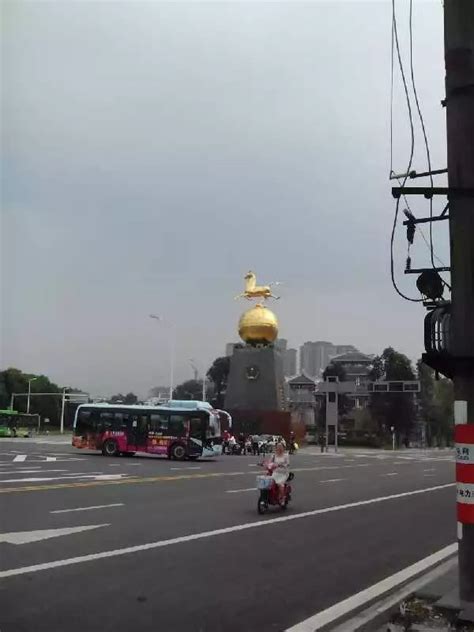 这叫啥“立马滚蛋”哈哈图片
