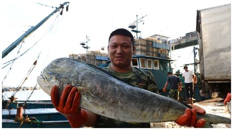 史上最贵的三种鱼,吃过青岛大虾的土豪也来看看