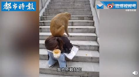 女子喂猴反被猴子踩头欺负，网友直呼：泼猴!-桂林生活网新闻中心