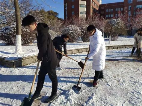 经贸系组织学生干部志愿者清理校园积雪道路-管理学院-滁州职业技术学院