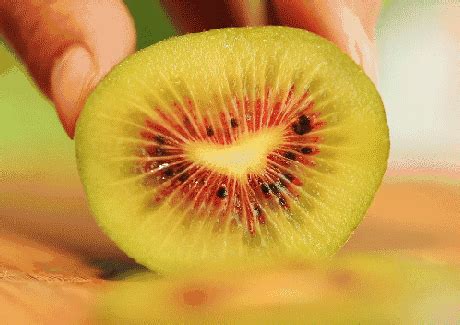 红心猕猴桃和绿心猕猴桃哪个甜 长期坚持吃猕猴桃的好处 - 富强农百科