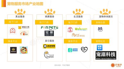 2021年上半年中国宠物经济产业发展现状与市场调研分析报告_报告_维宠宠物导航网
