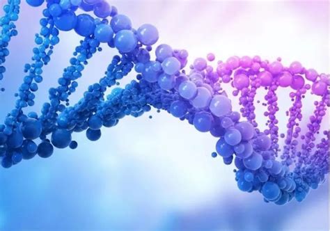 基于 DNA 纳米技术的生物传感器和治疗,Advanced Healthcare Materials - X-MOL