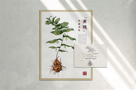 本草纲目草药系列丶钩吻钩吻又名断肠图片
