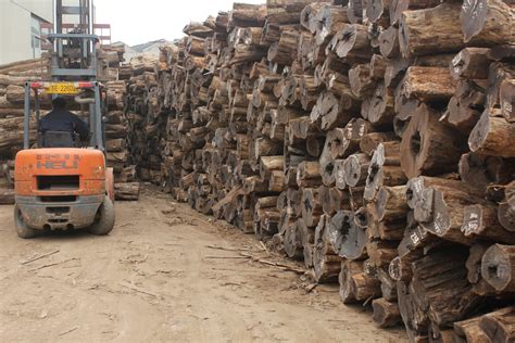 中联木业城新来一批乌木--张家港木材网