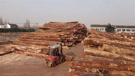 谁知道福州的木材交易市场在哪里？_53货源网