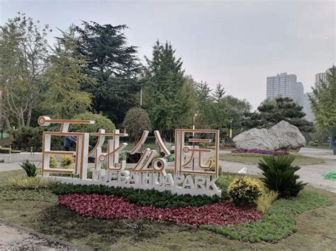 渝北两个公园升级改造后重装亮相！ 重庆风景园林网 重庆市风景园林学会