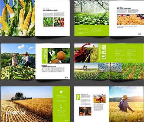 农产品公司宣传册设计方案怎么写？种植公司宣传册设计方法！-宣传册设计方案