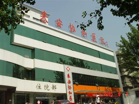 包含泰安市中心医院（泰山医学院第五附属医院）黄牛跑腿号贩子挂号的词条