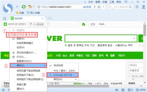笔记本打开浏览器网页图片显示异常如何解决-韩博士装机大师