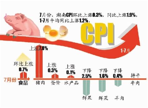 猪肉价格大涨，带着CPI飞 - 三湘都市报 - 华声新闻 - 华声在线