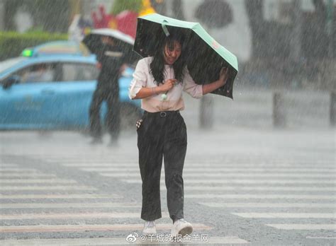 注意防御！10日夜间起至14日，广东或再迎暴雨量级降水|广东省|暴雨|阵雨_新浪新闻