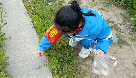可爱的小女孩在户外捡树叶高清图片下载-正版图片507671217-摄图网