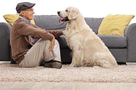 老人适合养什么样的狗 适合老人养的狗品种_宠物百科 - 养宠客