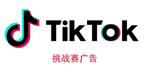 TikTok官方付费类广告都有哪几种类型 | 零壹电商