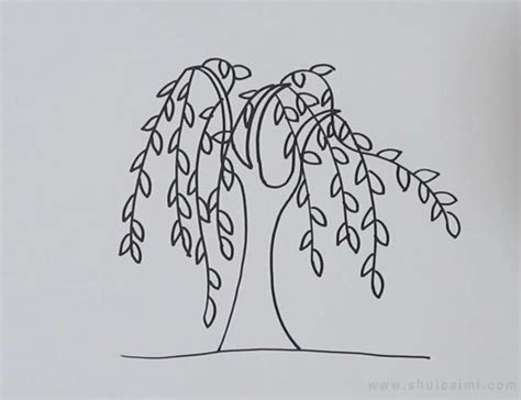 简单的柳树简笔画怎么画好看 彩色的柳树绘画步骤及教程-露西学画画