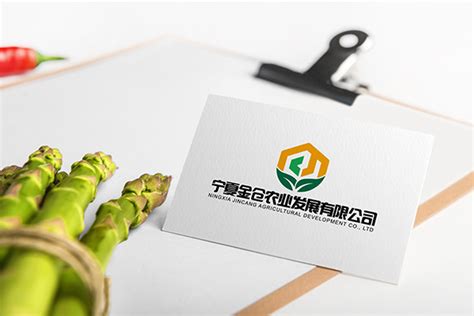 宁夏广电 - 银川设计公司|宣传册|画册|海报|包装|LOGO|VI设计-宁夏独角狮广告设计有限公司