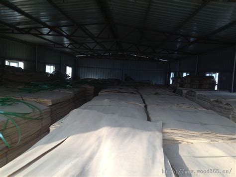 杨木板皮,木地板专用杨木板皮,生态板专用杨木板皮,-山东迅腾木业板皮加工厂