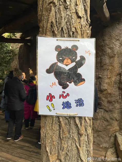 游客投喂动物园的熊致其呕吐