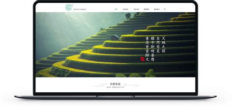 北京网站设计全套报价(北京网站建设策划)_V优客